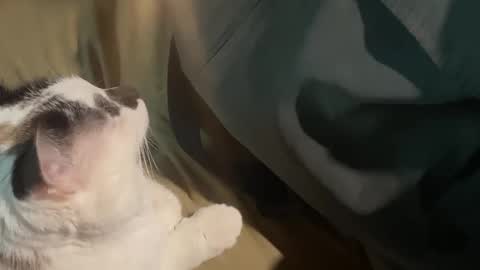 Nick f and Bennie m online show from September 19, 2025, 2:46 am