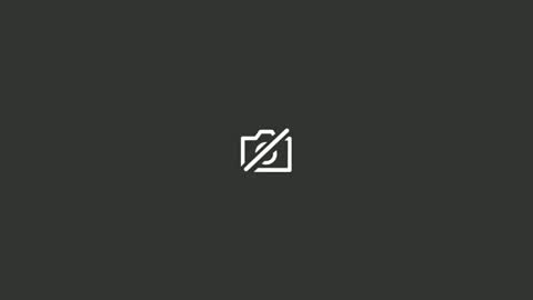 Nick online show from January 27, 2025, 1:37 am