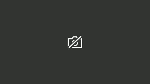 Nick online show from February 5, 2025, 12:10 am
