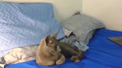 Nicolas              online show from December 19, 2024, 12:34 am