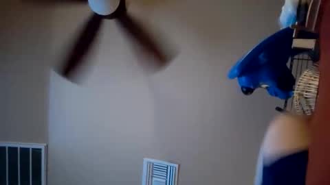 Snapshot of nicksbusinesse chatting on November 29, 2025, 5:32 am nicksbusinesse online show from November 29, 2025, 5:32 am