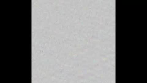 Nicolas Caged online show from March 30, 2026, 6:47 am