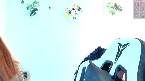 Nicol online show from January 11, 2025, 4:06 am