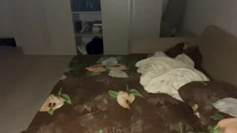 Sana online show from October 1, 2025, 8:26 pm