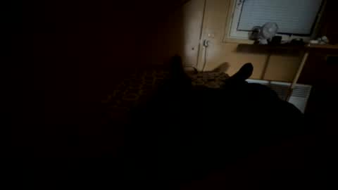 Nikk online show from September 20, 2025, 8:37 am