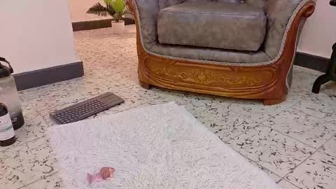  NIKY SMIT  online show from February 16, 2025, 2:43 pm