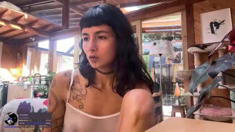 Nina.  online show from November 30, 2025, 9:08 pm