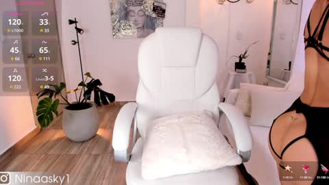 Snapshot of ninaa_sky chatting on December 12, 2024, 12:44 pm    online show from December 12, 2024, 12:44 pm