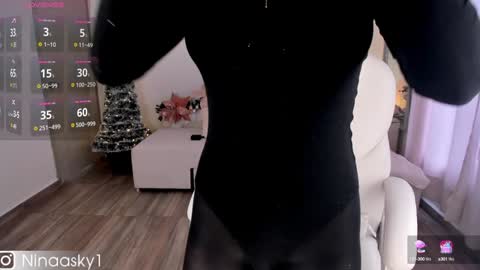 Snapshot of ninaa_sky chatting on December 15, 2024, 2:16 pm    online show from December 15, 2024, 2:16 pm