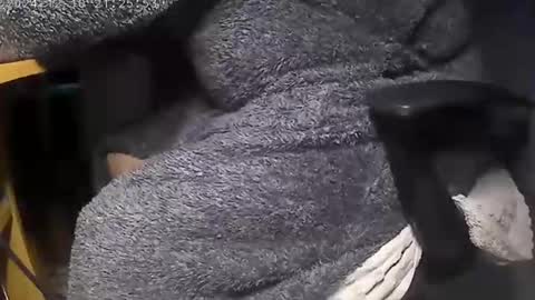 nineinchhard online show from December 9, 2024, 8:00 am