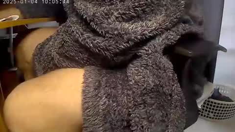 nineinchhard online show from January 4, 2025, 10:05 am