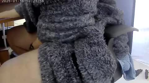 nineinchhard online show from January 16, 2025, 10:21 am