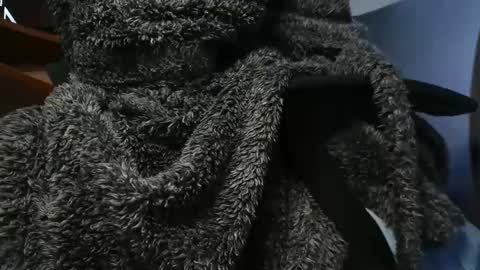 nineinchhard online show from January 26, 2025, 11:06 am