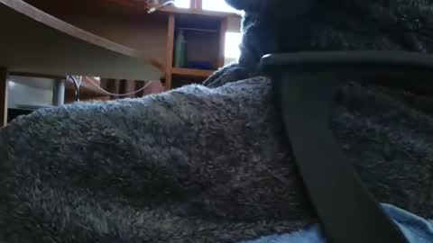 nineinchhard online show from March 6, 2025, 10:20 am