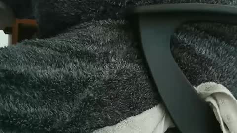 nineinchhard online show from September 23, 2025, 9:56 am