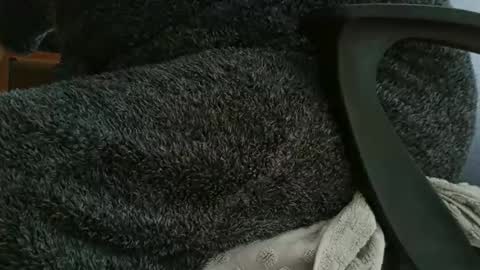 nineinchhard online show from October 12, 2025, 11:09 am