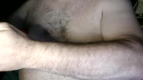 Nip Fun Bear online show from September 25, 2025, 1:42 am