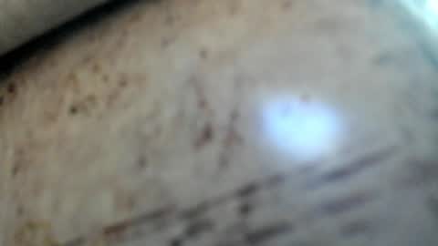 Noah online show from January 29, 2025, 7:15 am