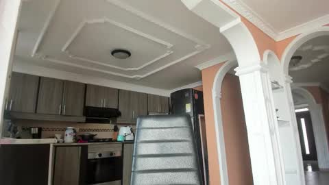 Snapshot of noemibcnz chatting on February 28, 2025, 1:25 pm In instagram dayhannanoemi online show from February 28, 2025, 1:25 pm