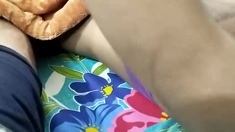 sim  nib online show from January 9, 2025, 8:44 pm