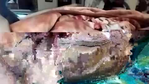 sim  nib online show from March 1, 2025, 10:31 pm