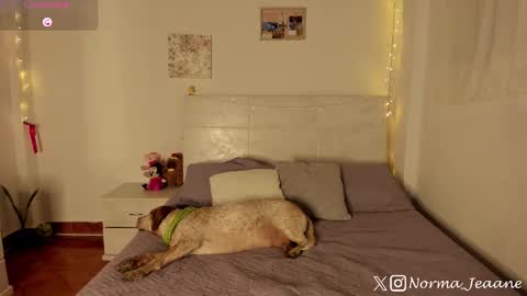 Norma Jeaane online show from October 4, 2025, 8:29 pm