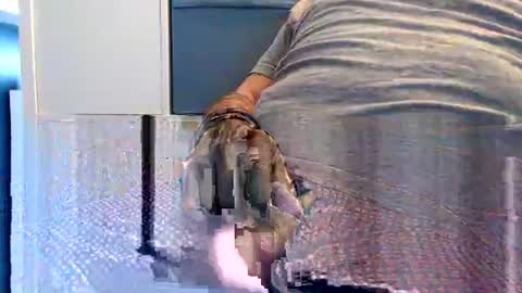 northerndaddy online show from September 23, 2025, 9:45 am