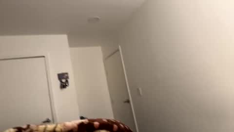 Snapshot of noseassapa chatting on December 6, 2024, 8:15 am se le perdio algo perra hp online show from December 6, 2024, 8:15 am