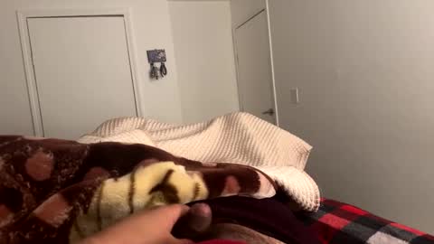 Snapshot of noseassapa chatting on February 24, 2025, 8:06 am se le perdio algo perra hp online show from February 24, 2025, 8:06 am