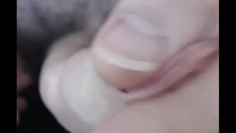 Alex Richardson online show from December 18, 2024, 6:46 pm