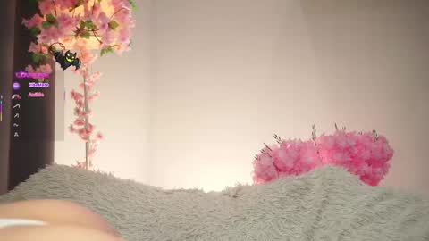 Dina online show from November 7, 2025, 1:38 am