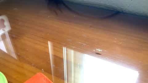 nudistadepilado online show from September 13, 2025, 10:04 am