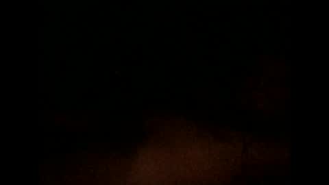 nxleon online show from December 9, 2024, 11:36 am