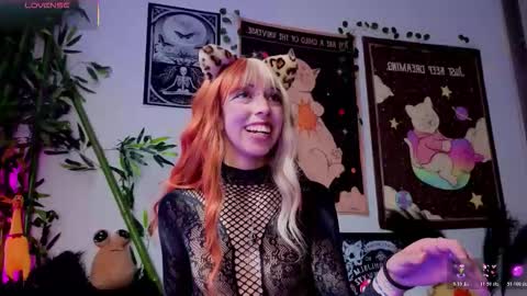   online show from February 21, 2026, 8:10 pm