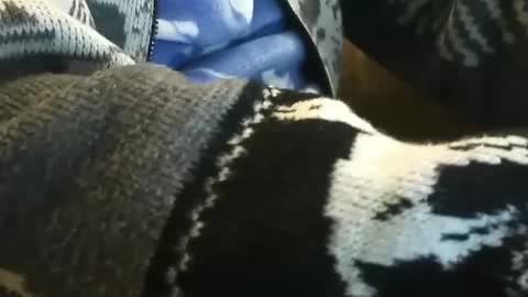 o0okukito0o online show from January 14, 2025, 10:55 pm