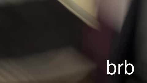 Snapshot of oakpatch chatting on April 11, 2026, 10:41 am miki online show from April 11, 2026, 10:41 am