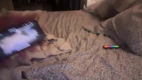 obiwand653040 online show from November 4, 2025, 5:28 am