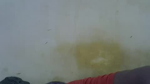 Snapshot of oceanwavves chatting on May 16, 2026, 11:46 pm Paloma online show from May 16, 2026, 11:46 pm
