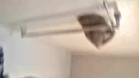 odz9ind online show from February 5, 2026, 7:29 pm