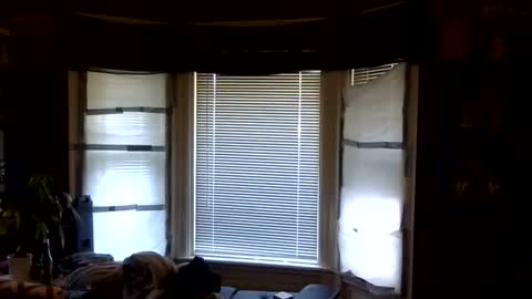 oscar flores online show from April 6, 2026, 1:12 pm