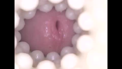 ohioguy4201985 online show from April 17, 2026, 10:24 pm