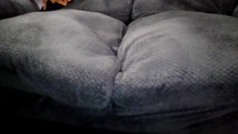 OldMIGUY online show from April 15, 2026, 12:12 pm