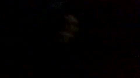 olivertwist1273 online show from January 20, 2025, 9:13 am