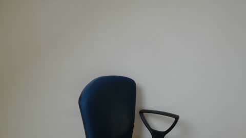 Somewhere over the rainbow online show from February 21, 2025, 8:29 am