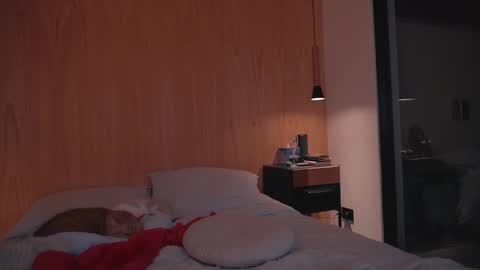 Ariel online show from December 27, 2024, 6:53 pm