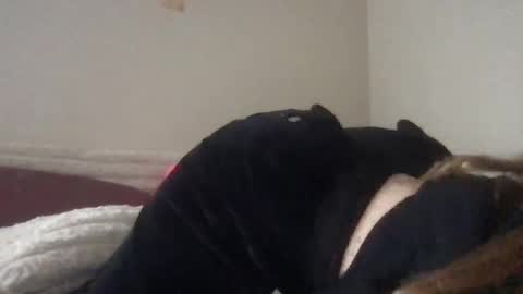 Snapshot of onelovella chatting on December 1, 2024, 7:25 pm Lovella online show from December 1, 2024, 7:25 pm