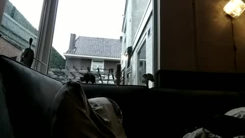 Openminded online show from December 30, 2024, 9:05 am