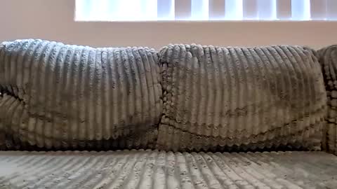 or2jrz online show from November 18, 2025, 5:17 pm