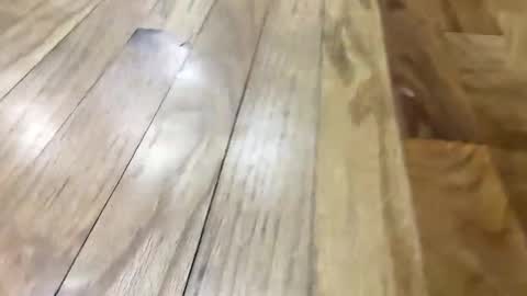 Snapshot of oreoworld chatting on November 11, 2025, 5:02 pm Super Soaker Oreo World online show from November 11, 2025, 5:02 pm