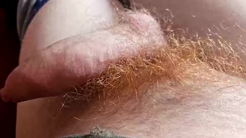 orgazm1212 online show from April 6, 2026, 12:28 pm